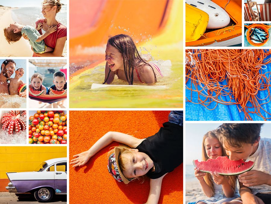 A mood board with lots of colourful summery pics of kids with their parents in the sunshine, kids eating watermelon, and bright photos of boats and fishing lines. 